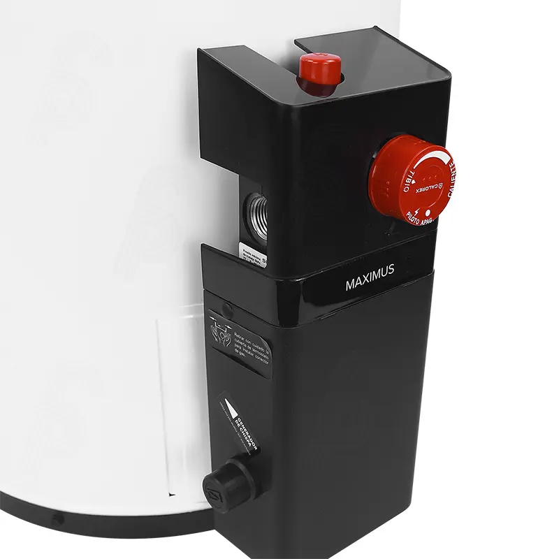 CALENTADOR DE DEPOSITO CALOREX MAXIMUS G60 GAS LP 6S 200L