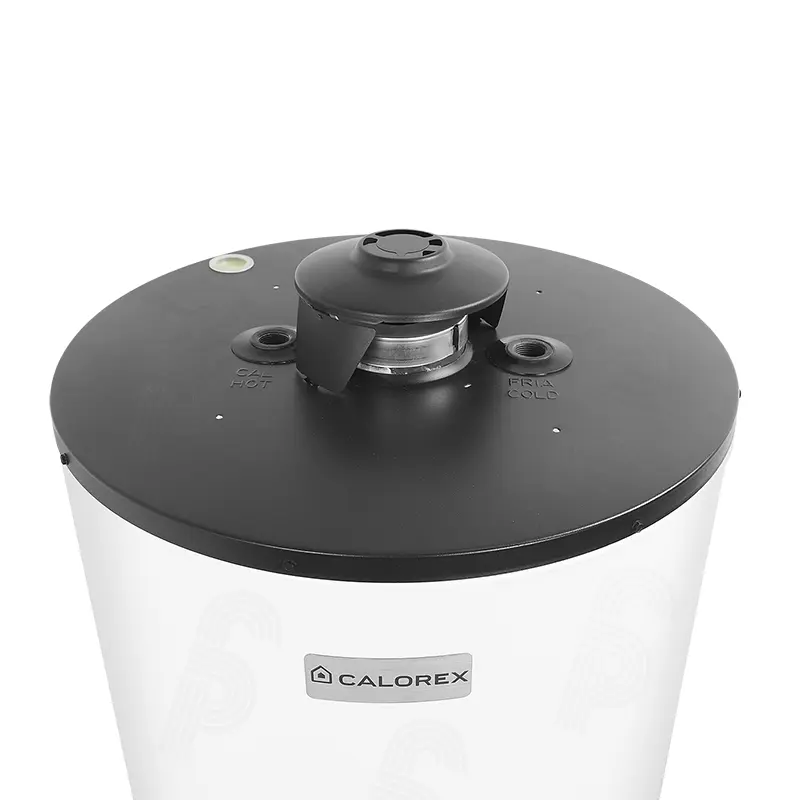 CALENTADOR DE DEPOSITO CALOREX MAXIMUS G60 GAS LP 6S 200L