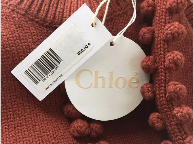 Chloé Prendas de punto Coral 