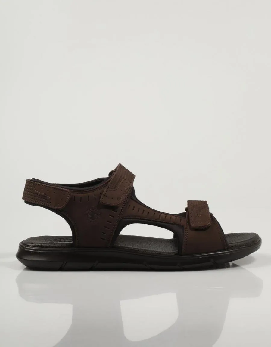  sandals CORONEL TAPIOCCA C2131 en Brown 79369
