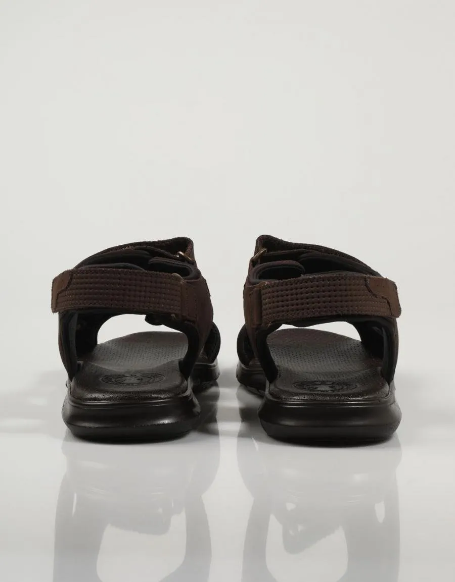  sandals CORONEL TAPIOCCA C2131 en Brown 79369