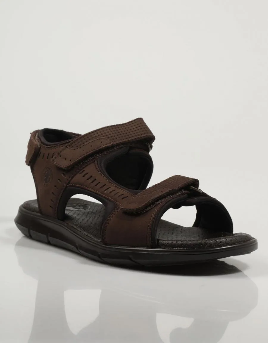  sandals CORONEL TAPIOCCA C2131 en Brown 79369