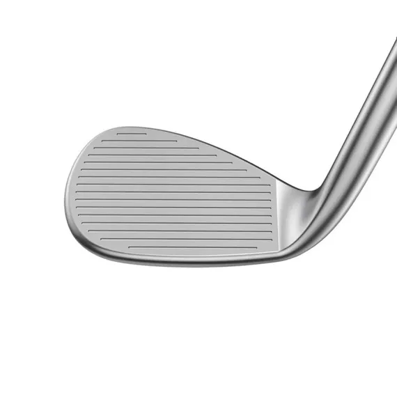 Wedge Cobra Snakebite SB