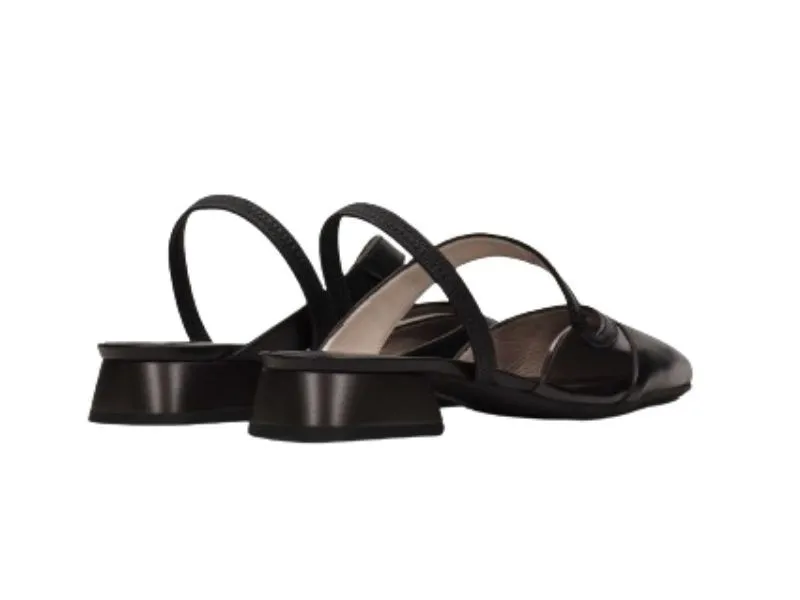 ZAPATITO DESTALONADO DALI HISPANITAS EN COLOR NEGRO HV243405